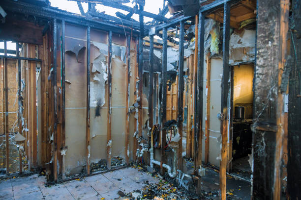 Professional Fire Damage Removal technician working in Skippack, PA